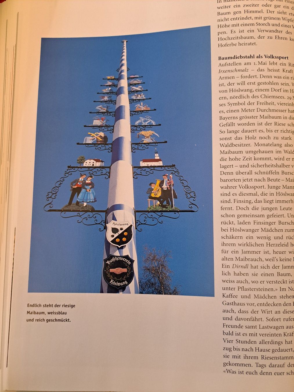 Bücher: Buch, Feste, Volksbräuche der Schweiz – Gebraucht aus Spiez von Pistach99 5