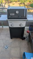 WEBER Spirit E-210
