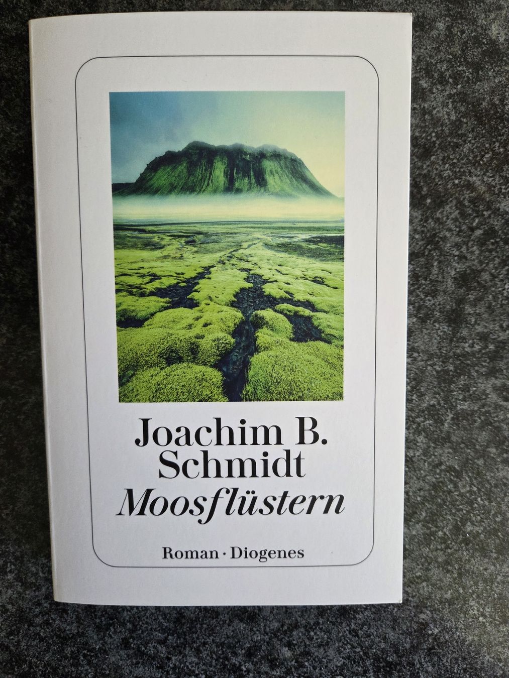 Libri: Moosflüstern von Joachim B. Schmidt – Nuovo (secondo la descrizione) da Klosters venduto da Riva123