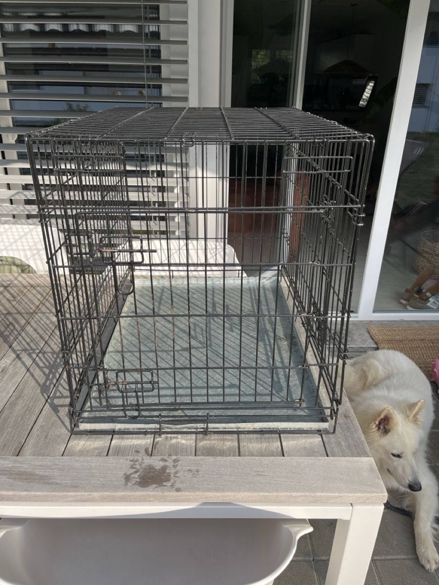 Gabbie, trasporto & Sicurezza: Bench für Kleinhund – Usato da Unterseen venduto da jkswiss 1