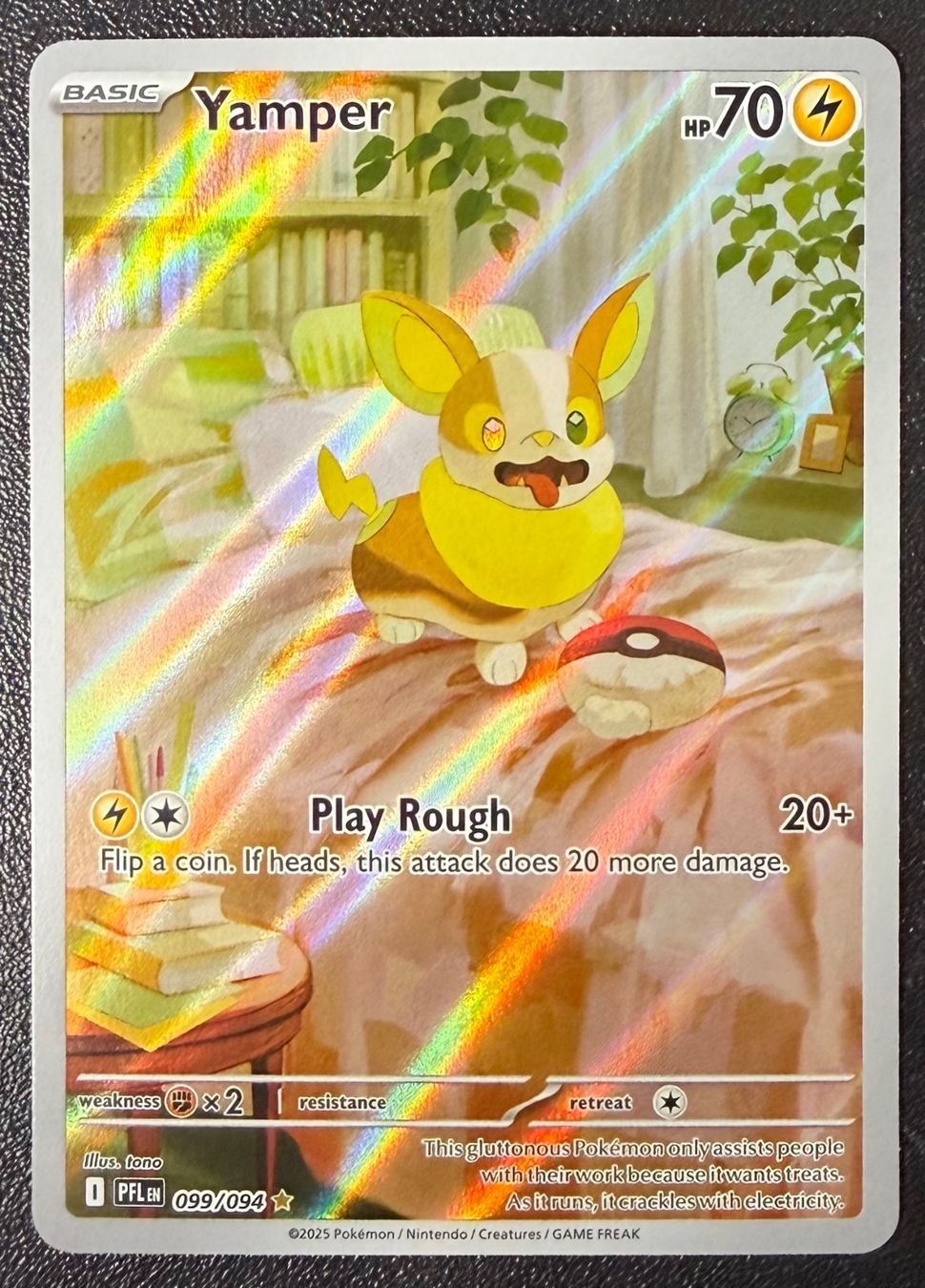 Pokémon Carte collezionabili: Yamper #099 – Nuovo (secondo la descrizione) da Niedergösgen venduto da SwissPokeCards