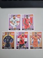 ⚽️ 5 Extra Sticker, 2 Bronze, 3 Lila