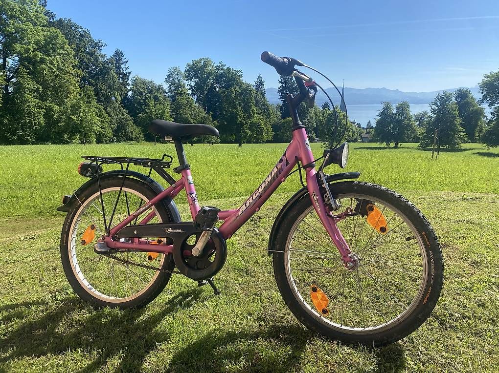 Vélos: Kindervelo 20 Zoll Rücktritt – D'occasion à Richterswil par Carambamba
