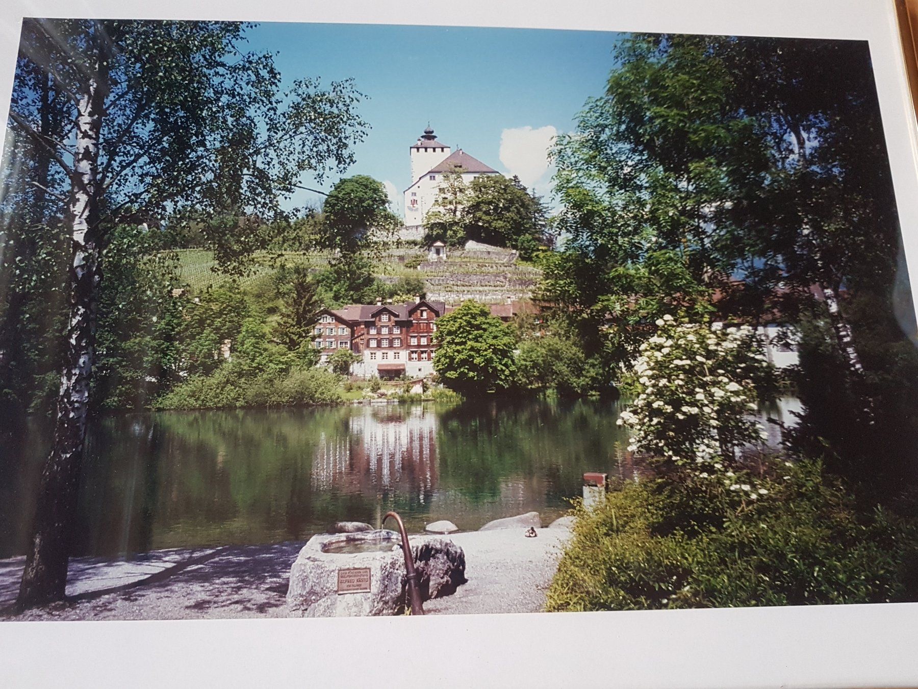 Foto & Immagini: SCHLOSS WERDENBERG MIT SEE (BILD MIT RAHMEN) – Usato da Sax venduto da spazieren 1