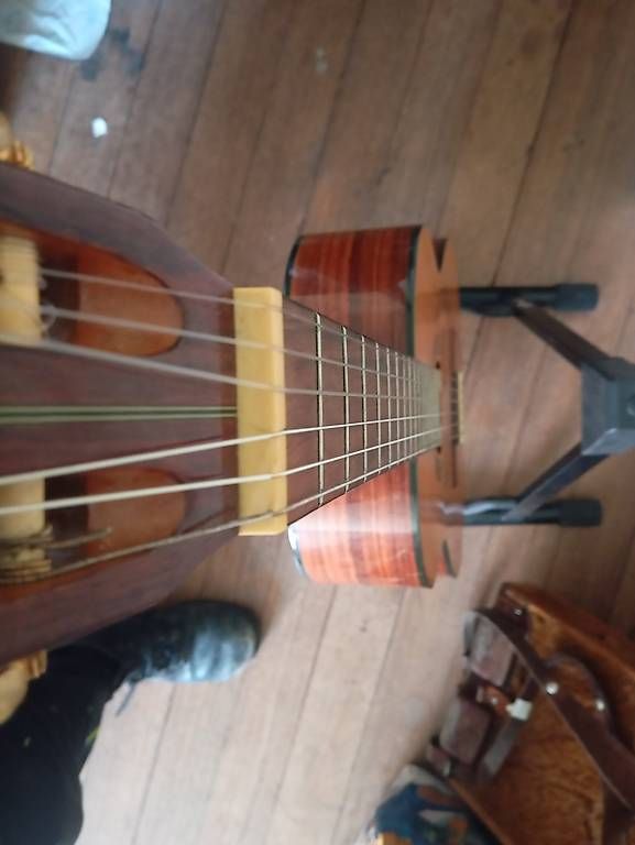 Strumenti musicali: Levinson CL115 Classic guitar – Usato da Basel venduto da Petergunn 1