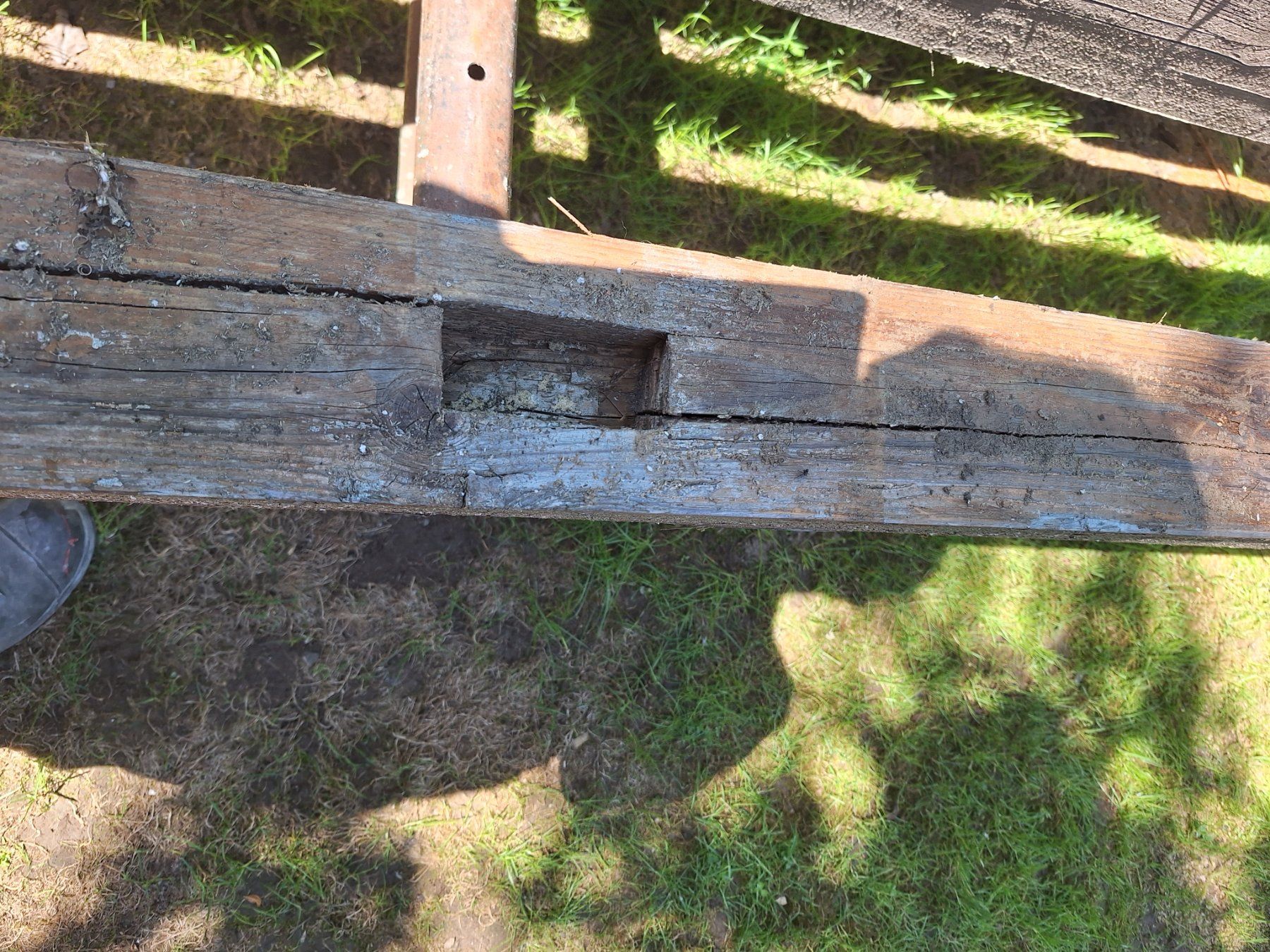 Articoli in legno: Balken – Usato da Wohlen AG venduto da mika26 3