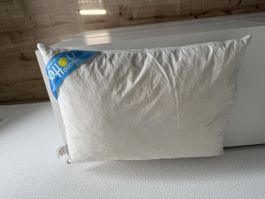 Kissen 50x70 cm