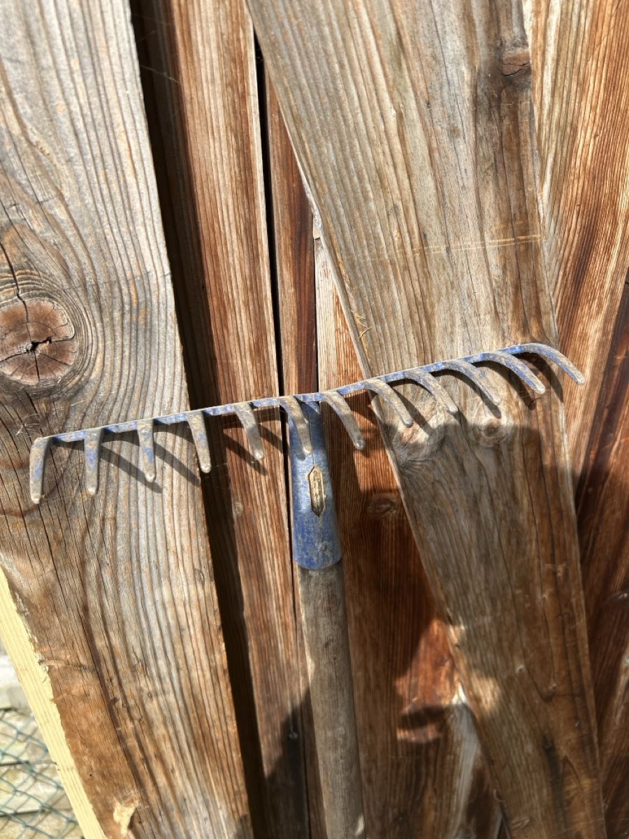 Tutti gli attrezzi: Gebrauchter Gartenrechen / Laub Rechen – Usato da zürich venduto da Julia05 1