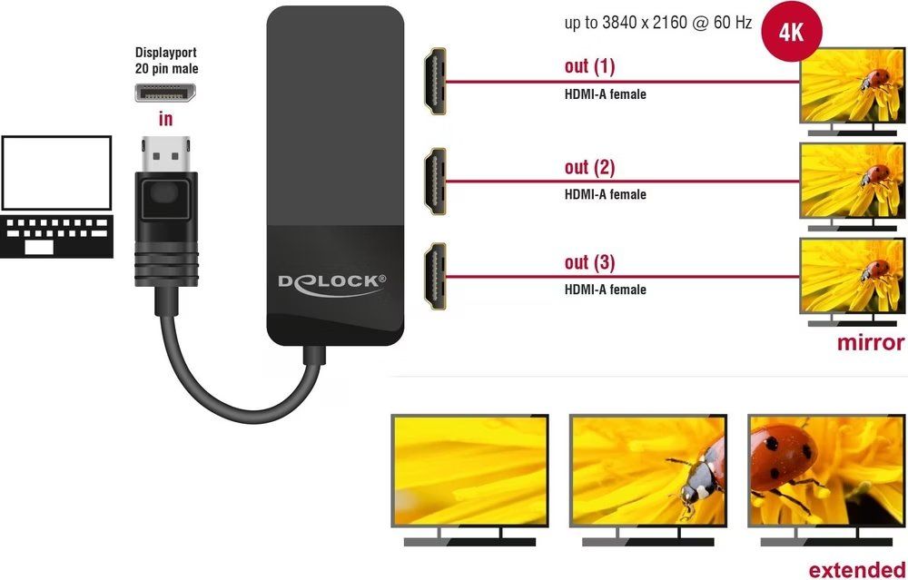 Unità & Adattatore: Delock Da DisplayPort MAI USATO – Usato da Agno venduto da Olialby 1