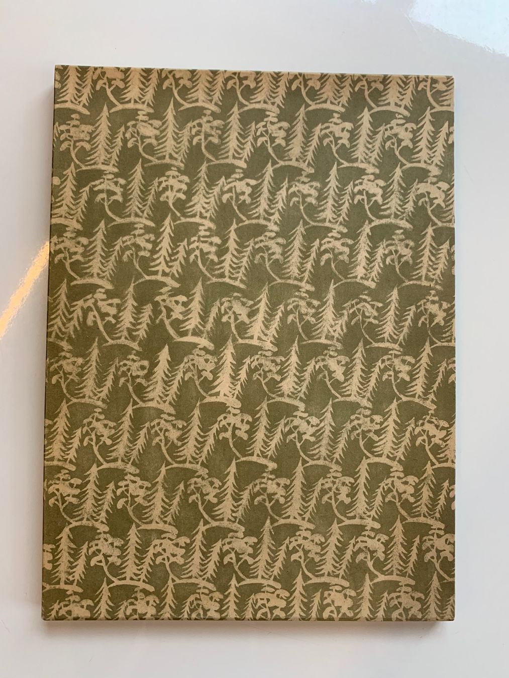 Grafica & Litografie: Litographie - Wald und Baum von Carl Moos – Usato da Zürich venduto da ZuercherBrockenhaus 3