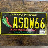 🇺🇸 U.S. Autoschild - New Mexico ASDW66 - ORIGINAL