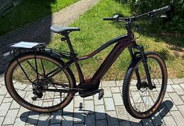 Trek Powerfly 5 WSD Jg. 2019 - Grösse 17.5" Total 2698km
