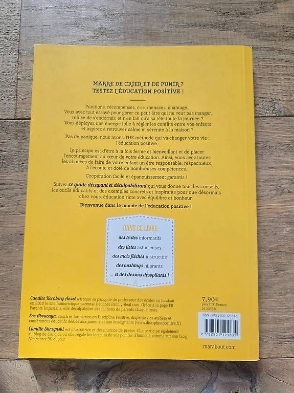 Libri: Education positive:le guide décapant des parents imparfaits – Usato da Begnins venduto da psy-harmonie 1
