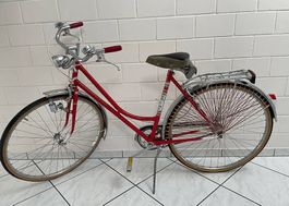Velo Damen