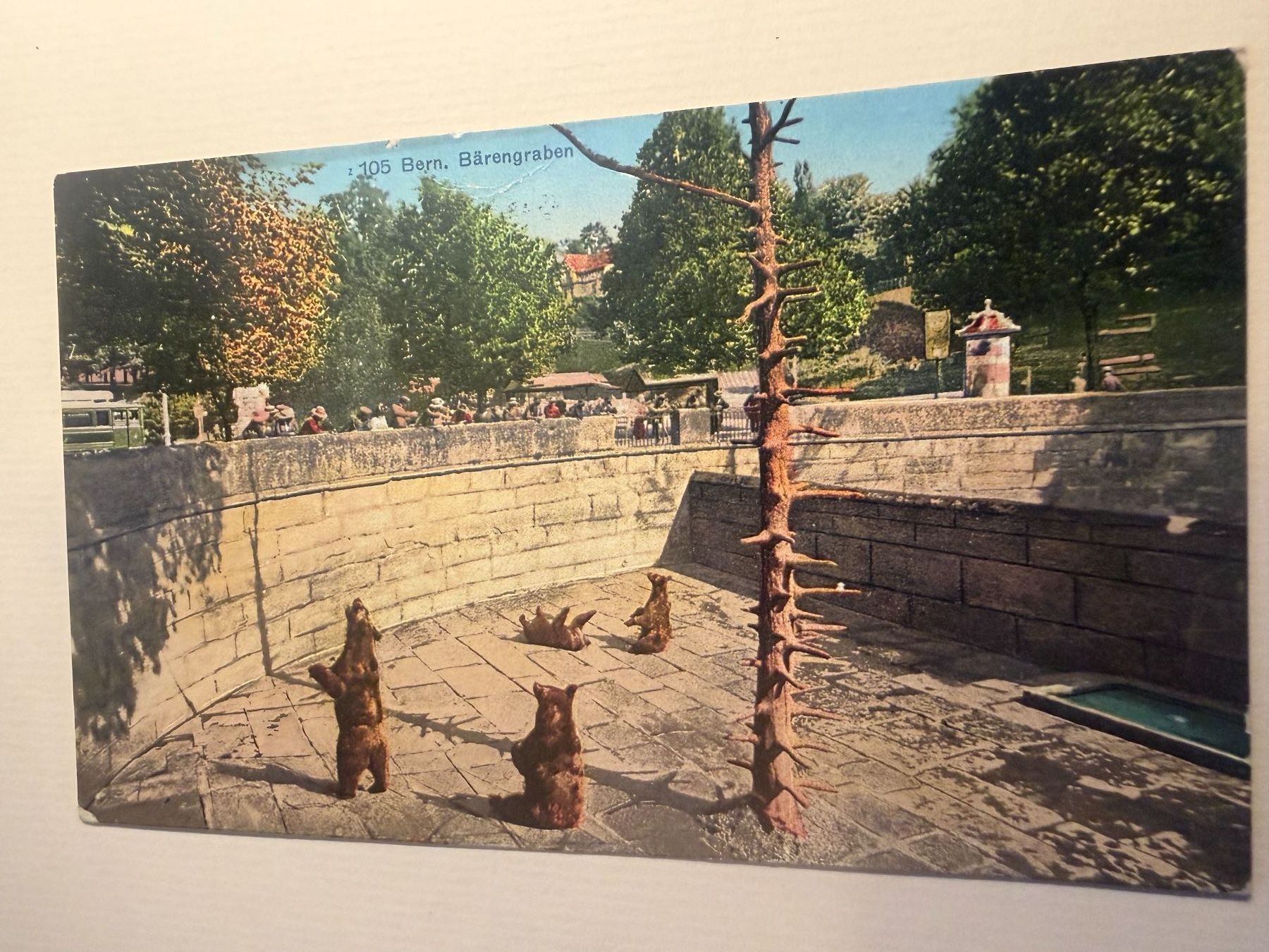 Cartoline postali: BERN - Bärengraben - Ansichtskarte – Usato da Tegerfelden venduto da siebenmacky