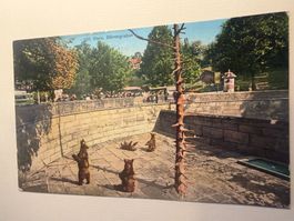 BERN - Bärengraben - Ansichtskarte