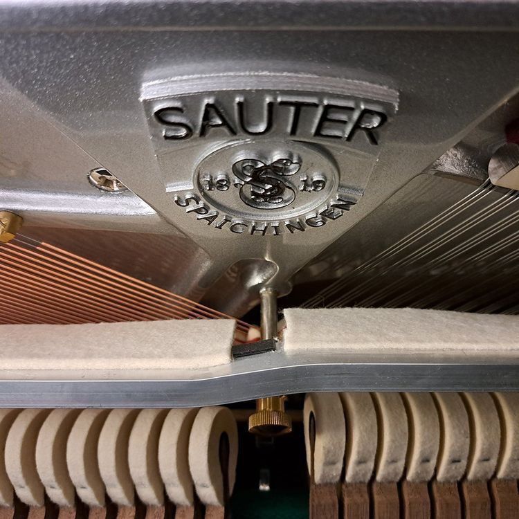 Strumenti musicali: Pure Basic 122 Peter-Maly-Edition - Ausstellungsmodell – Nuovo (secondo la descrizione) da Ittigen venduto da KrompholzMusik 4