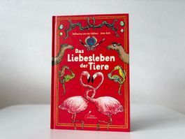Sachbuch für Kinder Kinderbuch Das Liebesleben der Tiere
