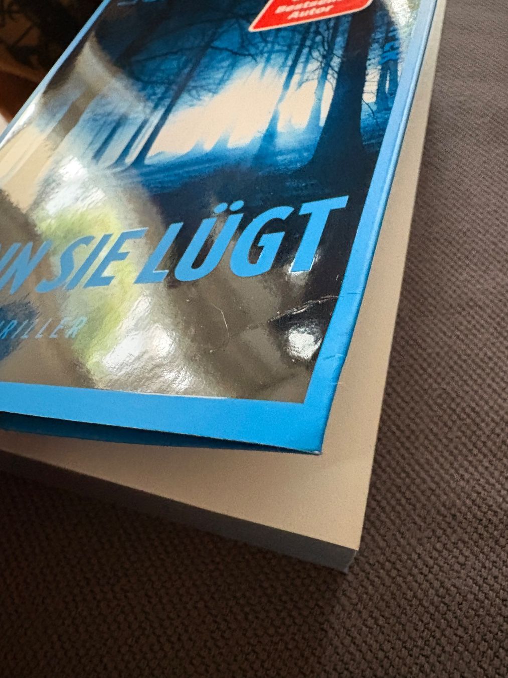 Libri: Wenn sie lügt - Linus Geschke – Nuovo (secondo la descrizione) da Oberwil BL venduto da saru-koshiro 1