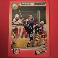 Noel Guyaz - ZSC - 1993/94
