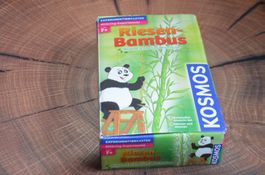 JEUX - SPIEL