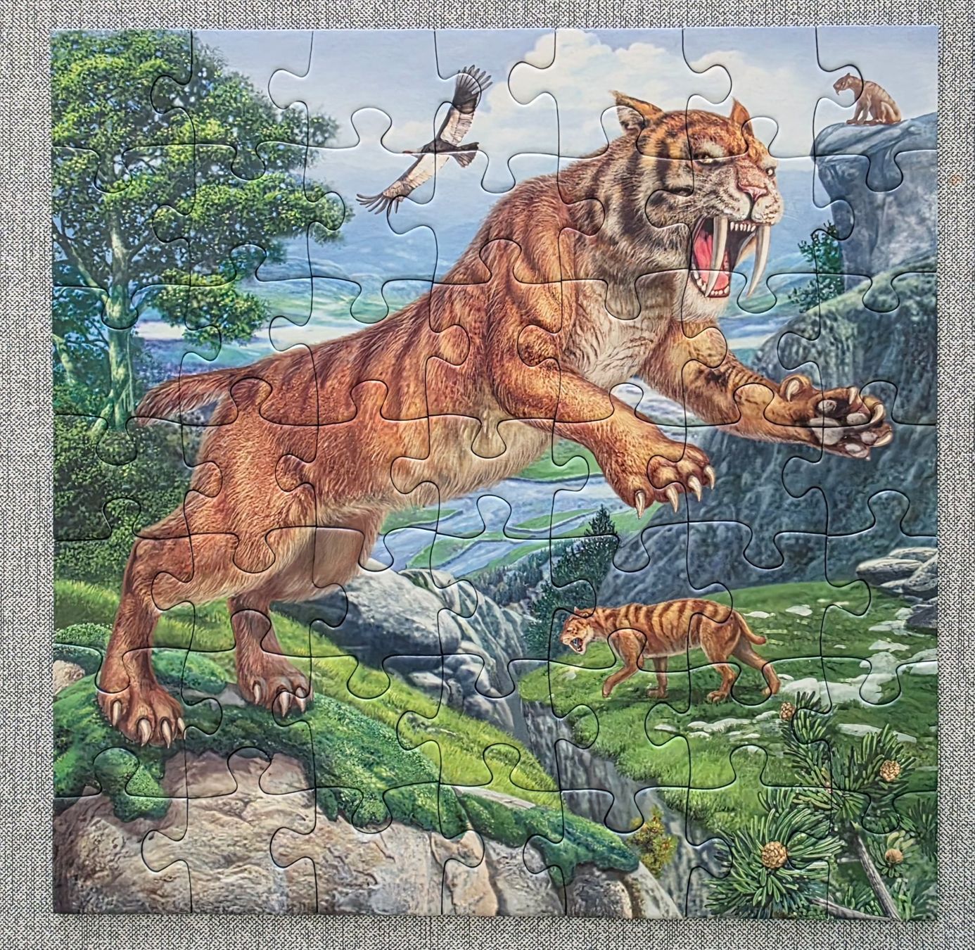 Ravensburger Puzzle: Set Puzzle 5+, 3x 49 Tl / pcs – Usato da Coldrerio venduto da dgv 1