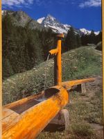 Ansichtskarte Brunnen Wallis
