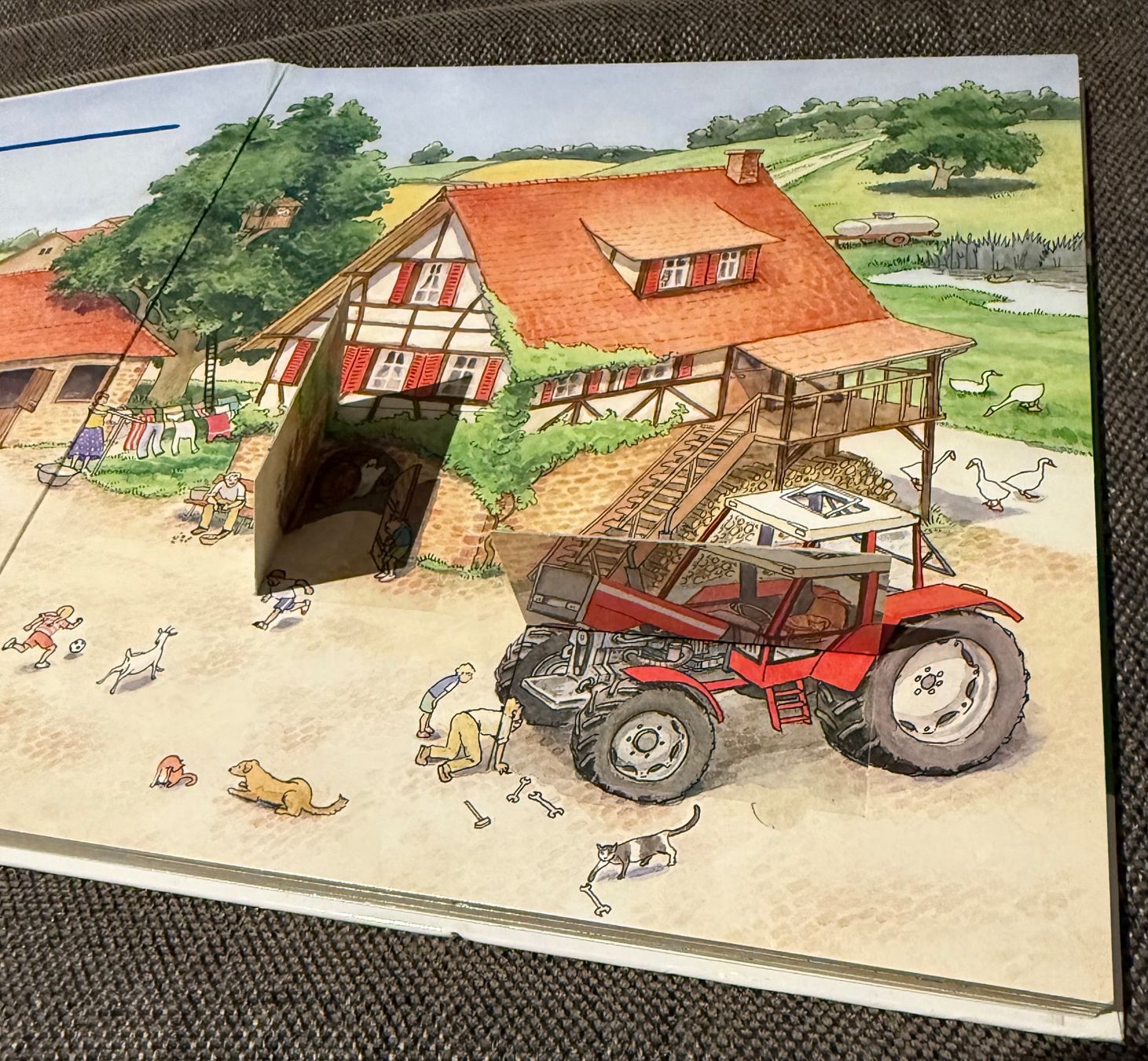 Libri: Auf dem Bauernhof – Usato da Oberbipp venduto da annegret05 4
