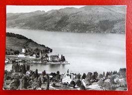 Ansichtkarte Spiez Hotel Belvédère