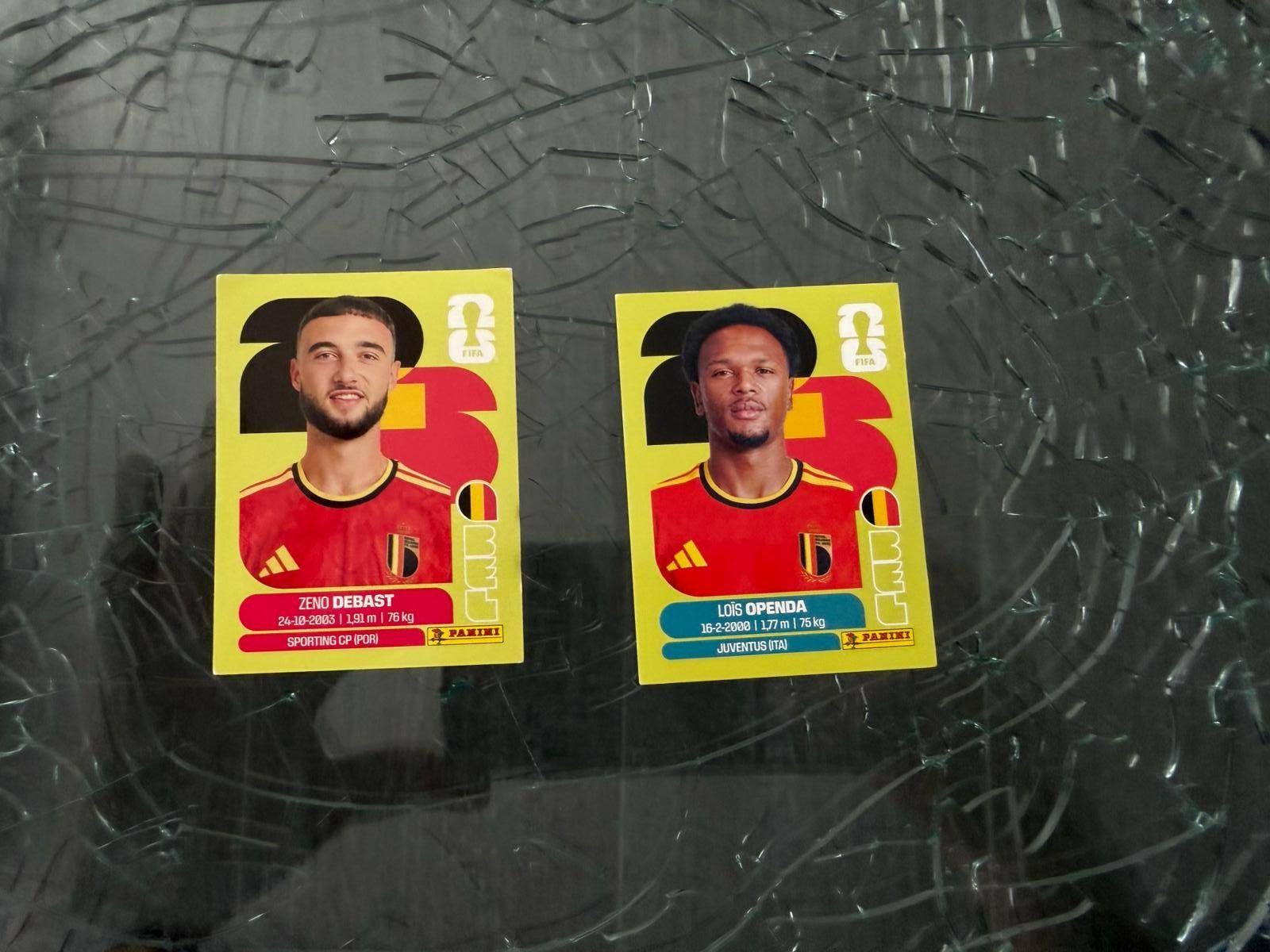 Panini Carte collezionabili: WM 2026 - Panini - Belgium – Usato da Pfäffikon ZH venduto da Marcodesi76