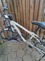 E Bike Flyer