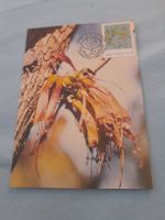 Carte postale rare Tshulu 1987, thème botanique d'automne