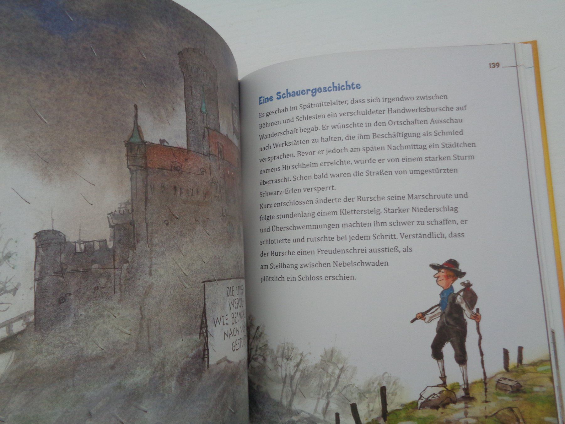 Libri: Löwen mögen schöne Zöpfe - das laut-Lesebuch mit CD – Usato da Chur venduto da omonia 6