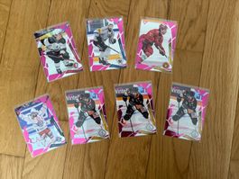 Sportzoo National League 25/26 - PINK