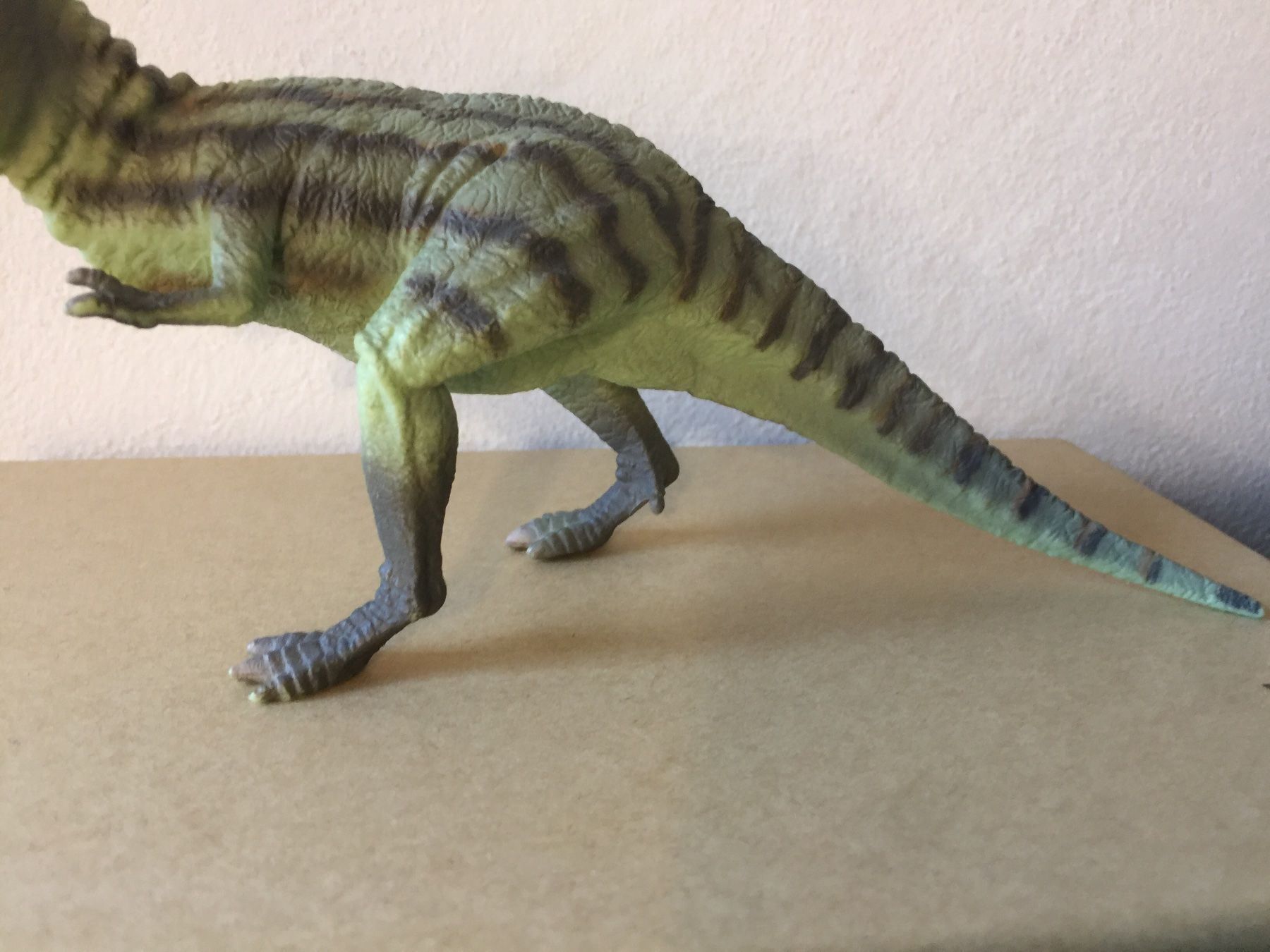 Schleich Statuette: Schleich Albertosaurus 16443 Dinosaurier – Usato da Ennetbaden venduto da mapa05 2