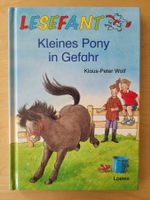 Kleines Pony in Gefahr - Lesebuch ab 7 Jahre
