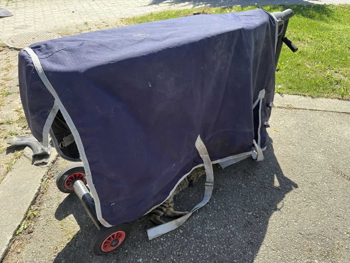 Decken: Pferdedecke Grösse 135, 300g – Gebraucht aus Widnau von sae_6kf6 3