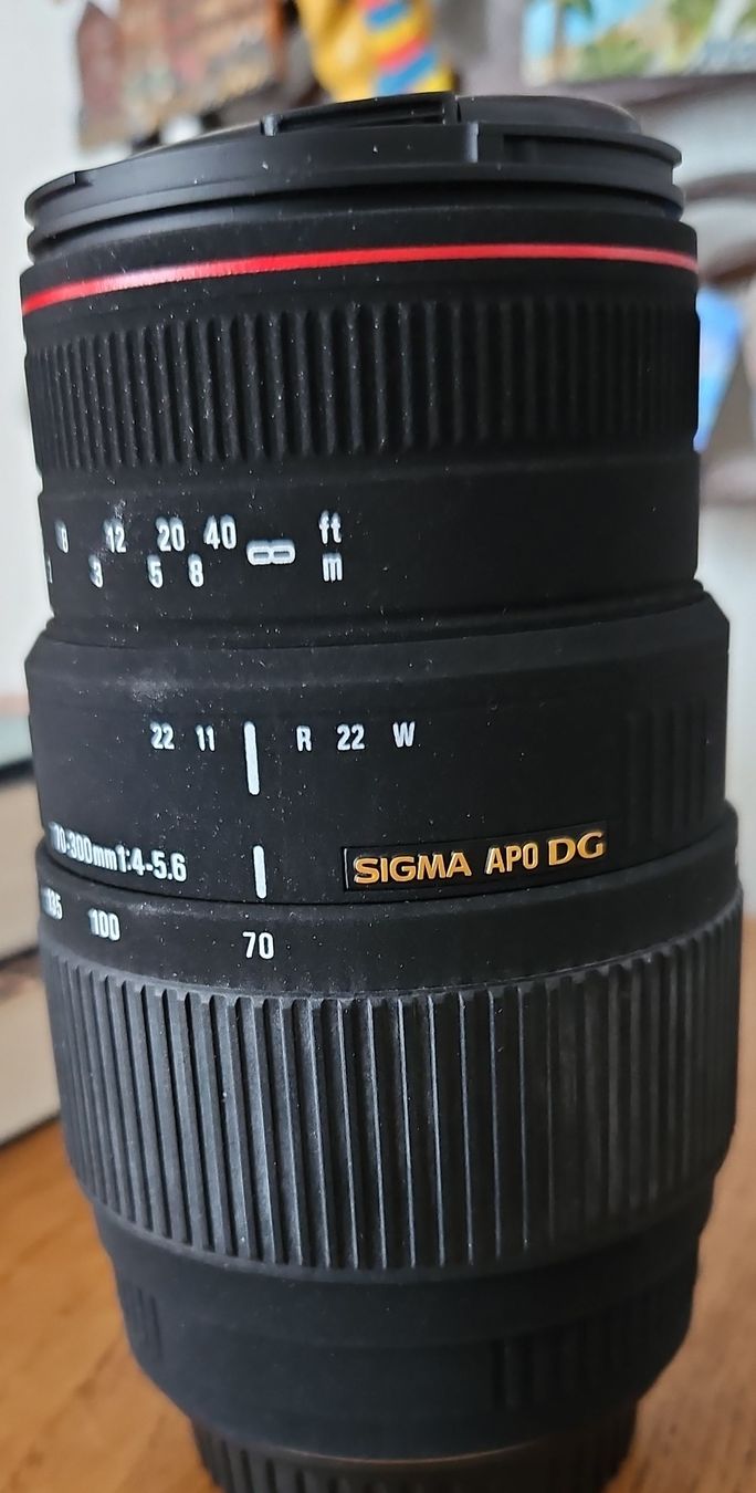 Sigma Obiettivi: Objectif Sigma 70-300mm APO DG teleobjectif – Usato da Wettingen venduto da Italia63