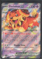 POKÉMON / Dachsbun EX / Stellar Crown 🇺🇸