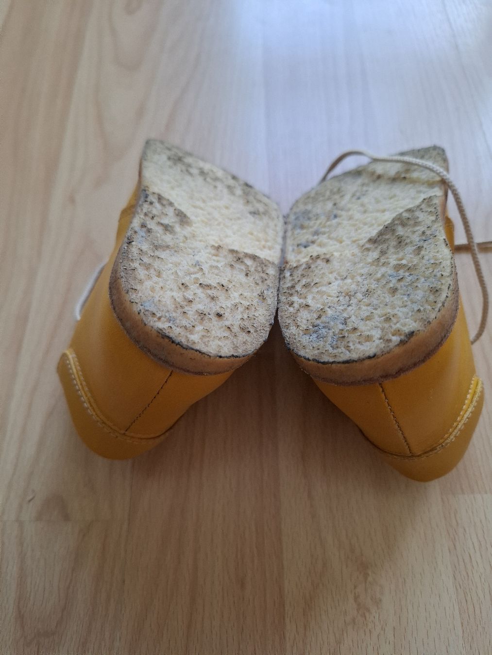 Scarpe per ragazzi: chaussure angulus t23 – Usato da Fully venduto da Taaat 2