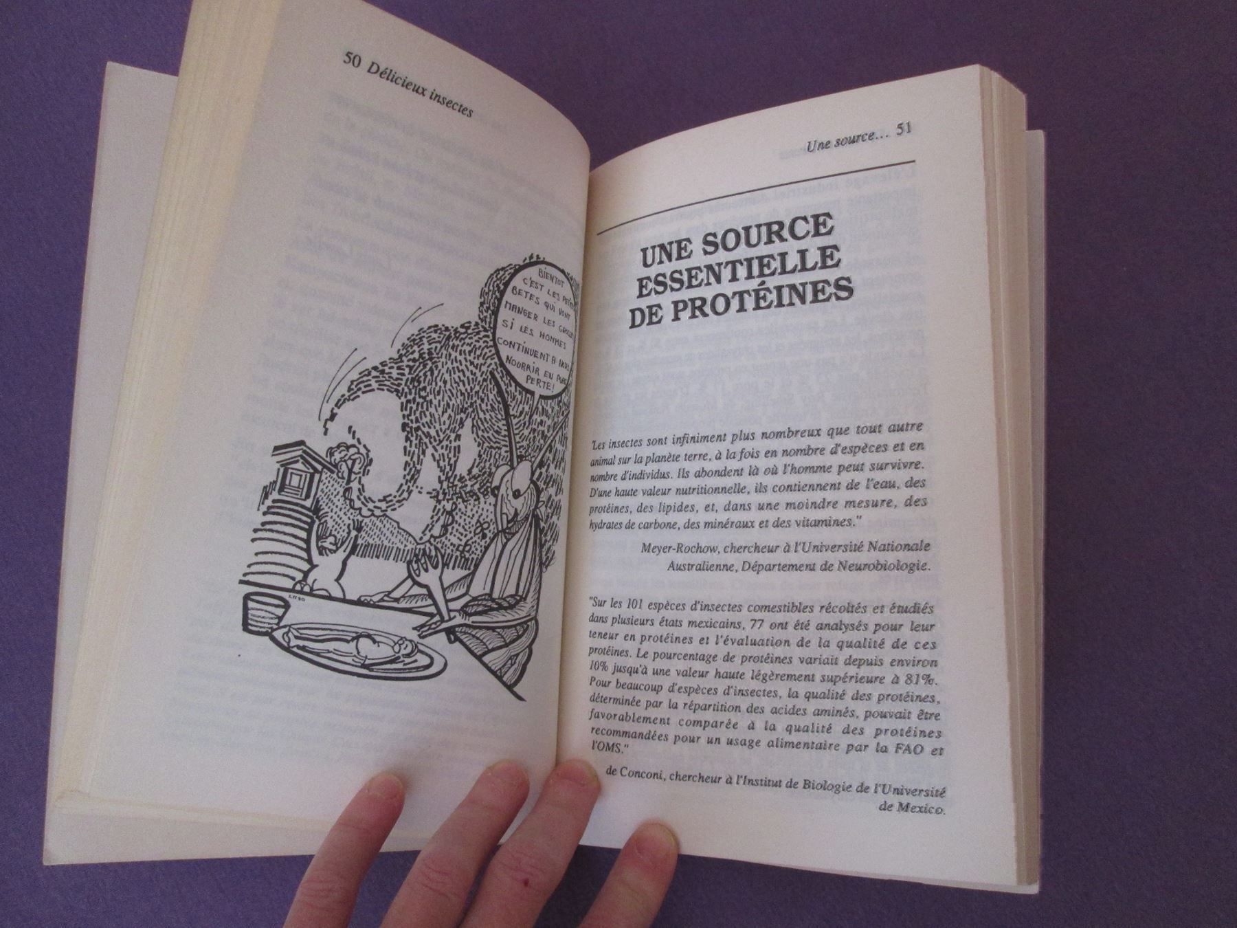Libri: Délicieux insectes – Usato da Neuchâtel venduto da Dualseele 5