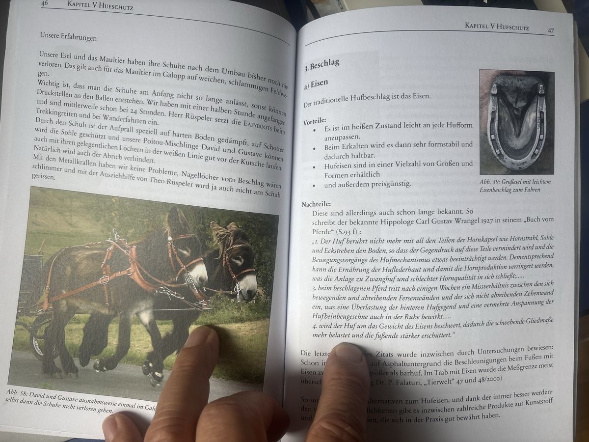Libri: Esel- und Mulihufe – Nuovo (secondo la descrizione) da Schaffhausen venduto da Reporter 3