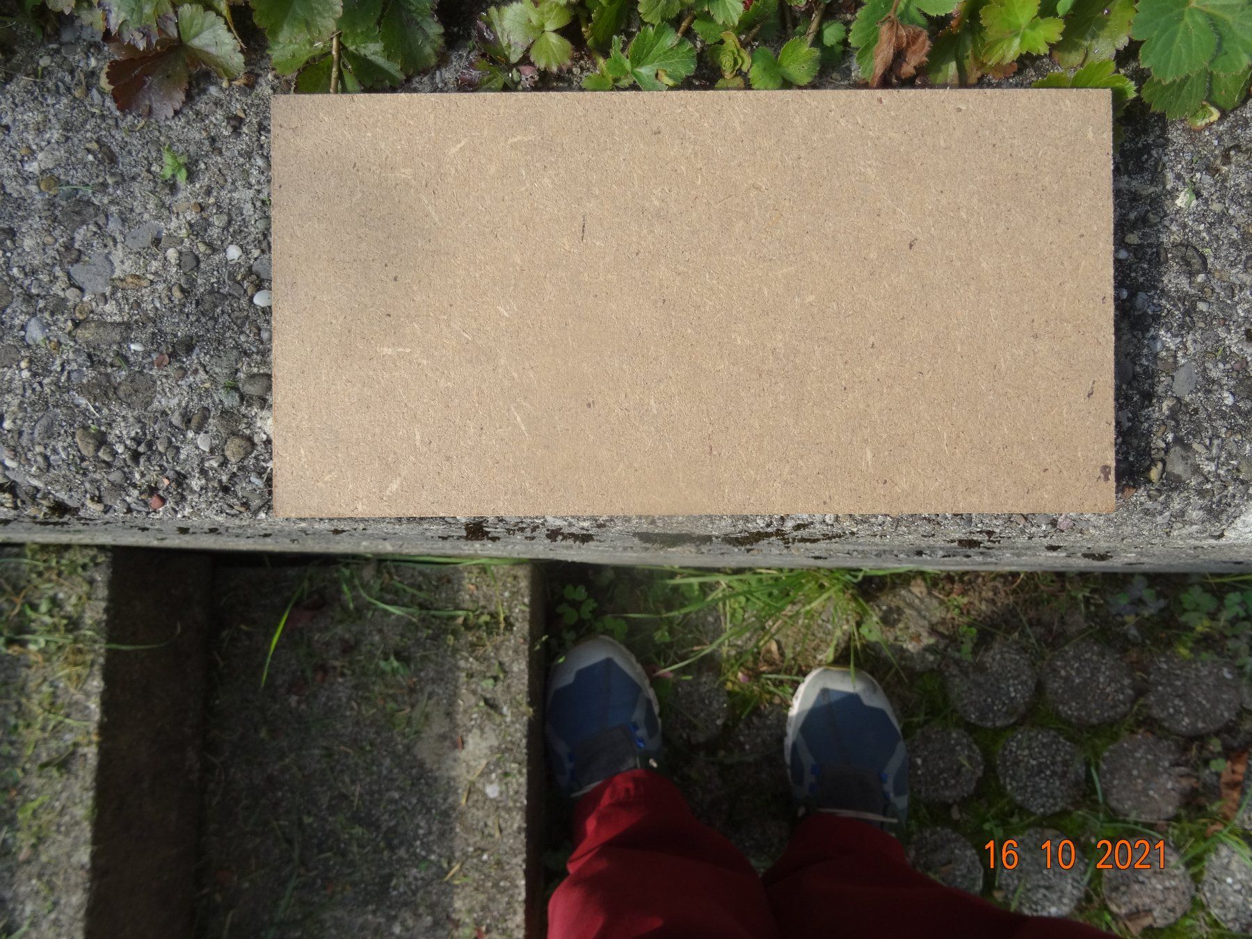 Rivestimenti per pavimenti: Bodenplatten Pavafloor - Park – Nuovo e nell'imballaggio originale da Mettmenstetten venduto da Habicht2009 4