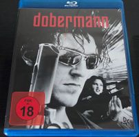 Dobermann
