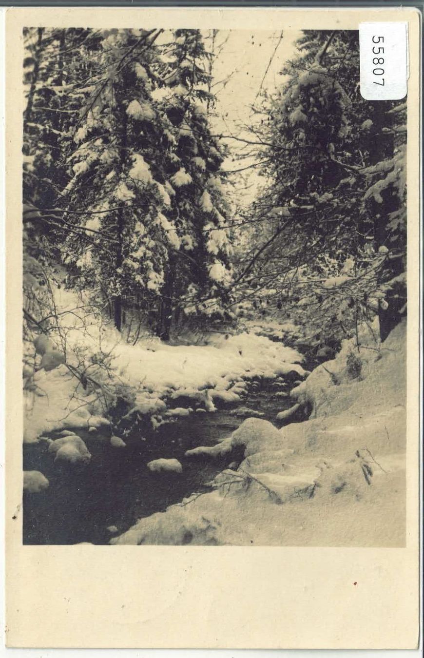 Cartes postales: Waldwinter in den Flumser Bergen – D'occasion à Ettingen par Kartenplanet