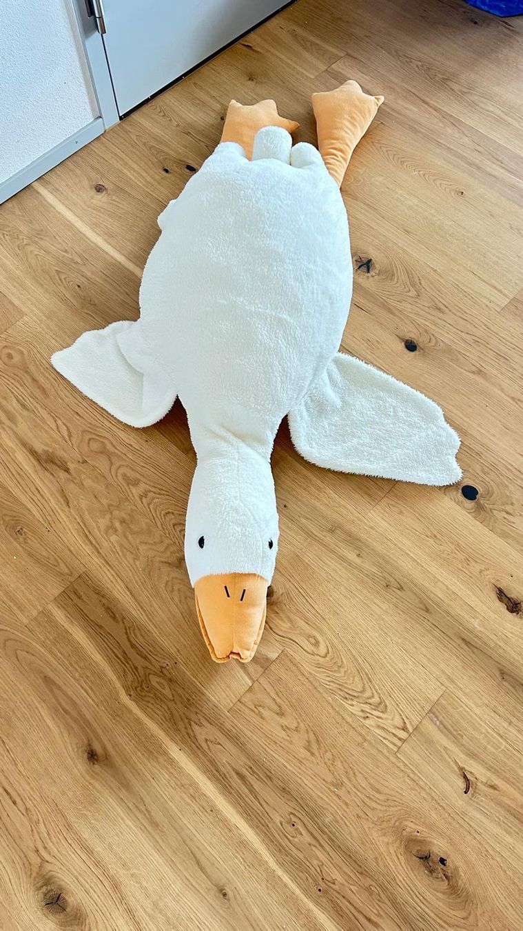 Jouets: Plüschtier Gans 160cm – D'occasion à Winterthur par fad_2rny