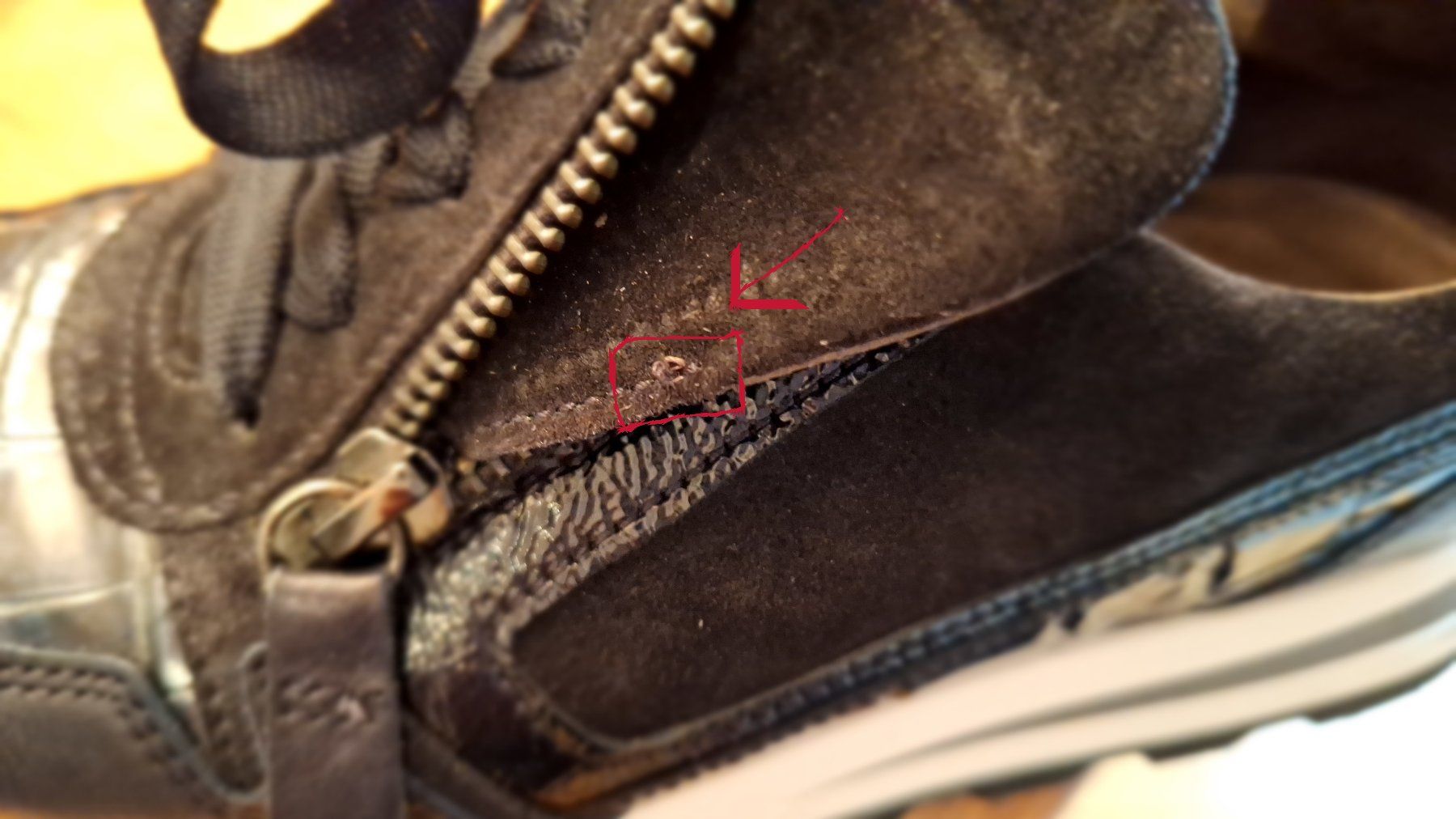 Gabor Damenschuhe: Gabor Comfort Sneaker Blau Gr. 36 – Gebraucht aus St.Gallen von Puppa 9