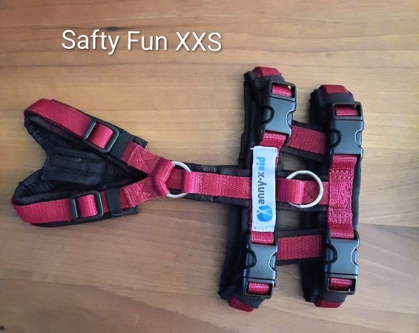 Anny X Guinzagli & Collari: Anny-x Hundegeschirr Safty Fun XXS – Nuovo (secondo la descrizione) da Berg TG venduto da ranch1