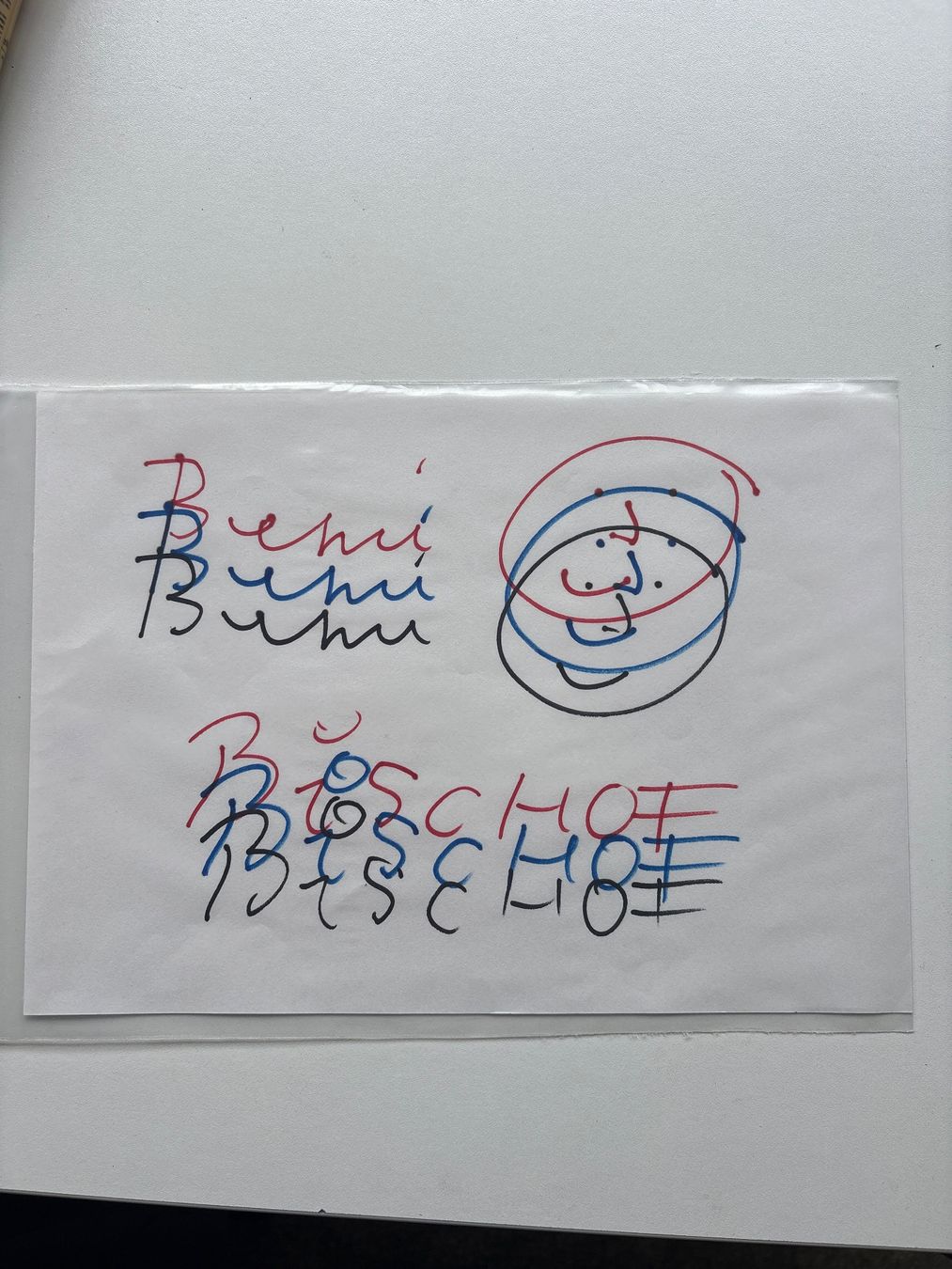 Dipinti: Dessin Beni Bischof unique – Usato da peseux venduto da renaudloda