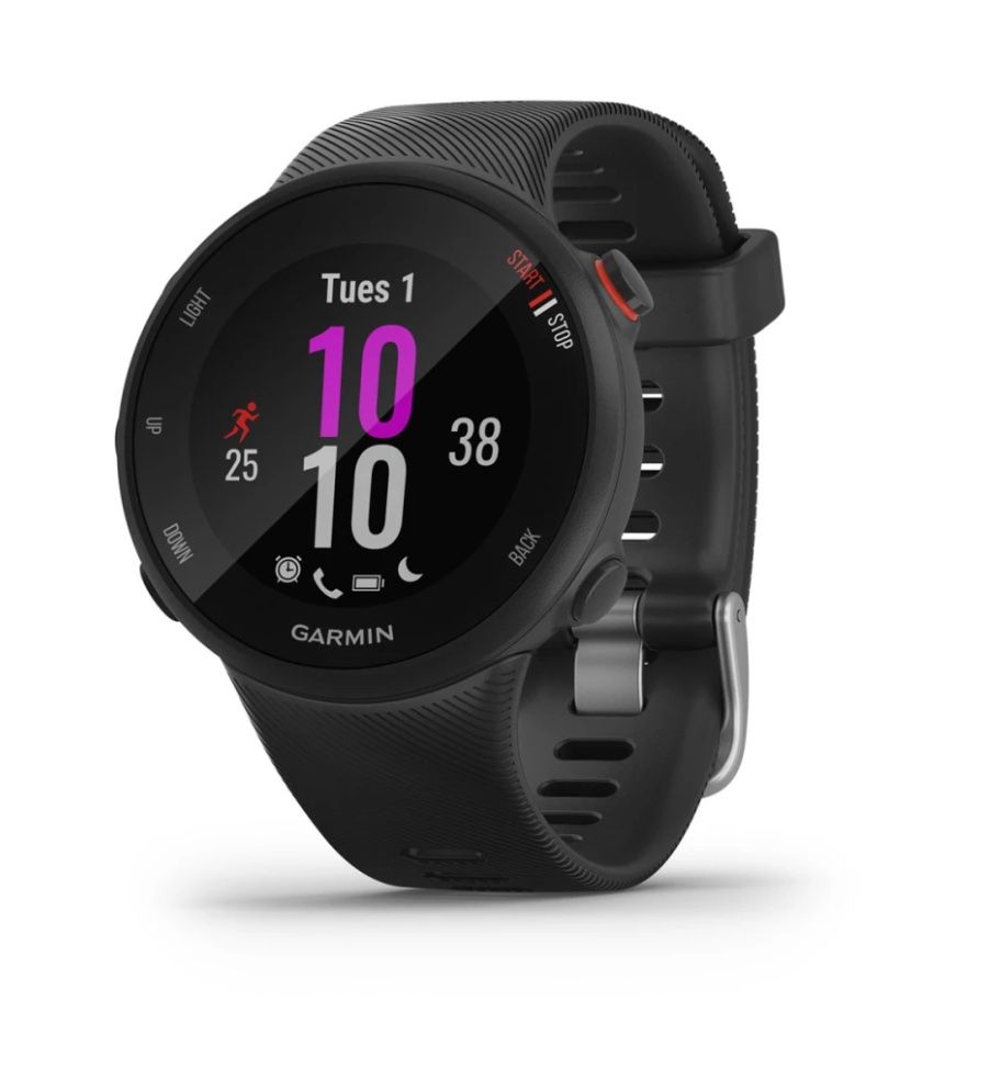 Garmin Smartwatch: Garmin Forerunner 45S – Usato da Kastanienbaum venduto da swi_8n56